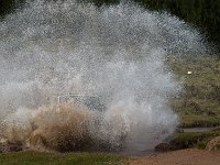 BullParkAudi-7352 : Jeep