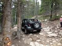 CoFamJennyCreek-3109 : Jeep