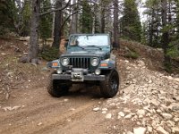 CoFamJennyCreek-3132 : Jeep