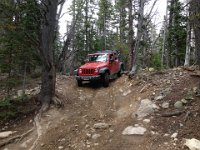 CoFamJennyCreek-3135 : Jeep
