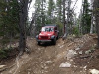 CoFamJennyCreek-3136 : Jeep