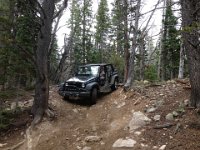 CoFamJennyCreek-3141 : Jeep
