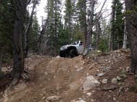 CoFamJennyCreek-3143 : Jeep