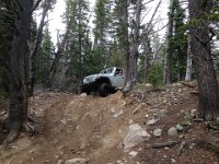 CoFamJennyCreek-3144 : Jeep