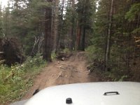 CoFamJennyCreek-3145 : Jeep