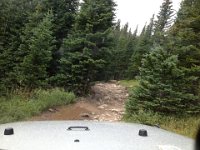 CoFamJennyCreek-3176 : Jeep