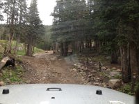 CoFamJennyCreek-3178 : Jeep
