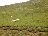 OurayAug2013-2902 : Lego