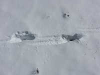 OuraySept2013-131228 : Jeep, Ouray