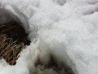 OuraySept2013-142618 : Jeep, Ouray