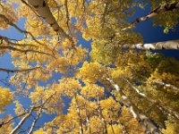 OuraySept2013-7967 : Jeep, Ouray