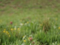 140710-0000204031-GP5B8955