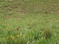 140710-0000204031-GP5B8956