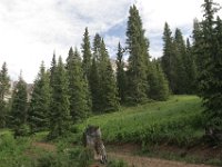 140712-0000204031-GP5B9028