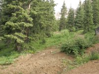 140712-0000204031-GP5B9030