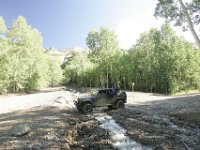 140712-0000204031-GP5B9057 : Jeep