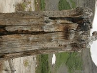 140712-0000204031-GP5B9110