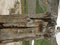 140712-0000204031-GP5B9111