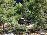 IMG 4716 : Jeep