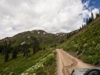 BlackBear-1350 : Jeep, Ouray