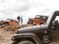 BlackBear-1385 : Jeep, Ouray
