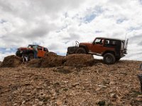 BlackBear-1386 : Jeep, Ouray