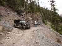 BlackBear-1435 : Jeep, Ouray