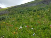 x20150727 112532 : 2015, Family, Jeeping, Mountains, Ouray, Vacation