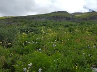 x20150727 112535 : 2015, Family, Jeeping, Mountains, Ouray, Vacation