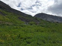 x20150727 112702 : 2015, Family, Jeeping, Mountains, Ouray, Vacation