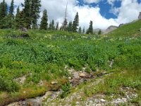 x20150727 160619 : 2015, Family, Jeeping, Mountains, Ouray, Vacation