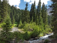 x20150727 161259 : 2015, Family, Jeeping, Mountains, Ouray, Vacation