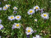 x20150730 123412 : 2015, Family, Jeeping, Mountains, Ouray, Vacation