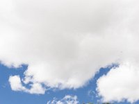 Ouray15-1623 : Jeep, Ouray