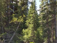 x20150728 103938 : 2015, Family, Jeeping, Mountains, Ouray, Vacation