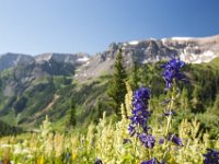 Ouray15-1844 : Jeep, Ouray