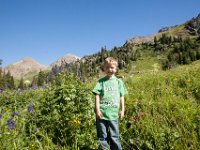 Ouray15-1860 : Jeep, Ouray