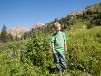 Ouray15-1863 : Jeep, Ouray