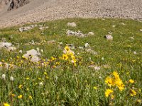 Ouray15-1886 : Jeep, Ouray