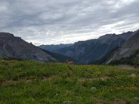 x20150731 092351 : 2015, Family, Jeeping, Mountains, Ouray, Vacation