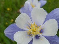 x20150731 093525 : 2015, Family, Jeeping, Mountains, Ouray, Vacation