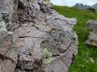 x20150731 101402 : 2015, Family, Jeeping, Mountains, Ouray, Vacation