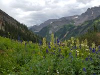 x20150731 122342 : 2015, Family, Jeeping, Mountains, Ouray, Vacation