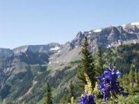 Ouray15-1840 : Jeep, Ouray