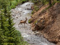 Ouray15-1947 : Jeep, Ouray