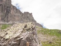 Ouray15-1977 : Jeep, Ouray