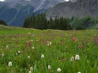 x20150731 091901 : 2015, Family, Jeeping, Mountains, Ouray, Vacation