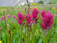 x20150731 092113 : 2015, Family, Jeeping, Mountains, Ouray, Vacation