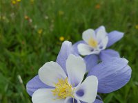 x20150731 093515 : 2015, Family, Jeeping, Mountains, Ouray, Vacation