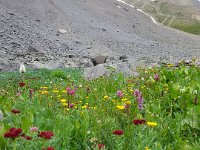 x20150731 095607 : 2015, Family, Jeeping, Mountains, Ouray, Vacation